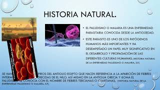 Malaria historia natural [upl. by Atinyl]