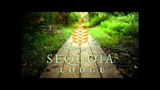 Disneyland Paris  Sequoia Lodge Hotel SONGS Best New [upl. by Vashtee739]