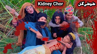 Kidney Chor Ao Tuti Gull Pashto New Funny Video 2023 by Bebe Vines Plus [upl. by Fancy]