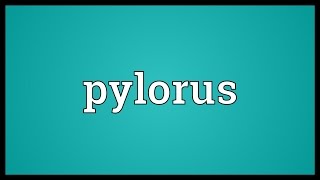 Pylorus Meaning [upl. by Lesnah]