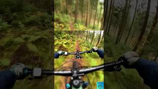 Baiersbronn Trails foryou mtb germany romania bikelife mountainbike viralvideo shorts [upl. by Kondon]