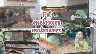 All my pets get enclosure makeovers  VLOG [upl. by Alana]