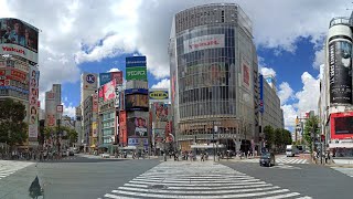 JapanTokyo Asakusa Sumida aquarium Shibuya walking tour [upl. by Giardap]