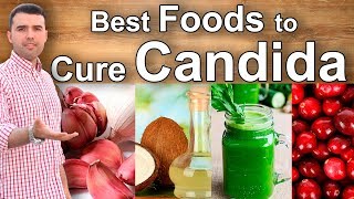 6 Best Foods to Fight Off Candida  The Candida Diet  How to Cure a Yeast and Candidiasis Infection [upl. by Rayburn]