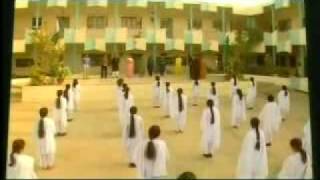 PTV Drama College Title Songflv [upl. by Ilaw825]