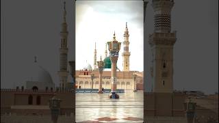 Madina sharif  Masdina viral shorts  Madina video shorts madina madinasharif viralshort [upl. by Joette]