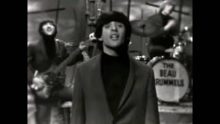 NEW  Laugh Laugh  The Beau Brummels Stereo 1964 [upl. by Genesia802]