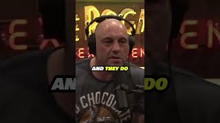 The ALIENS Are WATCHING US  😲 w Joe Rogan [upl. by Aria]