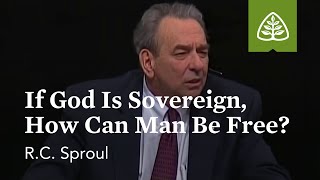 RC Sproul If God Is Sovereign How Can Man Be Free [upl. by Lovell175]