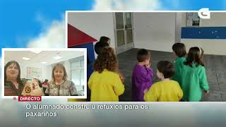 CONSTRUÍMOS NIÑOS DE PAXAROSCEIP O RESIO [upl. by Chambers497]