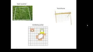 BTEC Applied Science Unit 3 Biology Investigating Distribution [upl. by Netneuq]