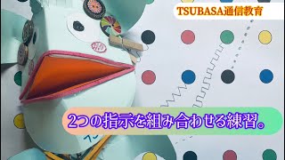 ２つの指示を組み合わせる運筆練習。小学校受験 [upl. by Nodanrb]