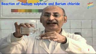 Reaction of Sodium sulphate and Barium chloride [upl. by Chader320]