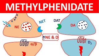 Methylphenidate Ritalin for ADHD  Mechanism precautions side effects amp uses [upl. by Marianne]