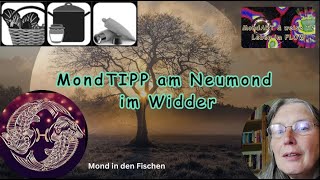 080424 Neumond im Widder 1 MondTIPP [upl. by Rolanda]