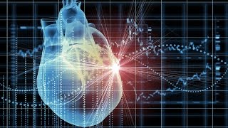 Human Physiology  Spread of Cardiac Excitation [upl. by Barabas730]