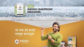 Indigo Paints Leak Proof Emulsion Hindi [upl. by Compte]