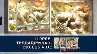 2 Terrarien für Bartagamen mit Durchgang [upl. by Korie]