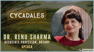 Cycadales  Dr Renu Sharma [upl. by Primrosa877]