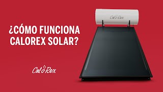 ¿Cómo funciona el calentador Calorex Solar [upl. by Ezechiel]