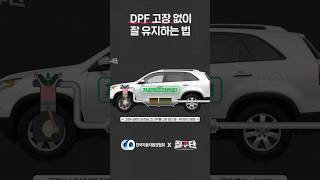 이 경고등은 뭐죠 DPF 고장 없이 잘 유지하는 법 [upl. by Attenra]