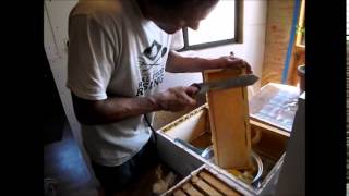 Honey Extracting Tips and Tricks [upl. by Tufts]