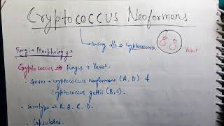 Cryptococcus neoformans Microbiology [upl. by Malone]