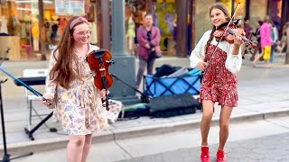 Karolina Protsenko amp Holly May Perform Dance Monkey In Santa Monica  Violin Cover [upl. by Danni]