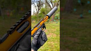 Gold Ruger Mark IV with R45 silencer [upl. by Yunfei]