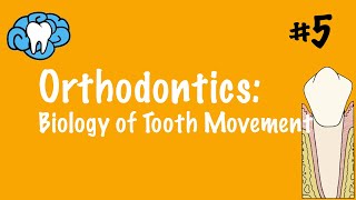 Orthodontics  Biology of Tooth Movement  INBDE ADAT [upl. by Anivlac]