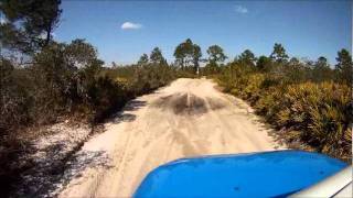 FJ Cruiser offroad central florida Sand Trails and Trees [upl. by Caputto]