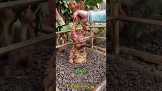 CRYING PLANT😨viral [upl. by Garey]