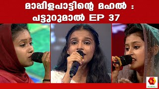 മാപ്പിളപാട്ടിന്റെ മഹൽ പട്ടുറുമാൽ Epi 37  Patturumal Epi 37  Mappila Songs Malayalam [upl. by Idnod]