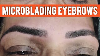 Microblading Eyebrows Service at Kannur Kerala [upl. by Demah]