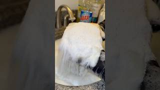 Laundry Powder amp Soft Scrub squeezes 🫧 spongesqueezing sudsyspongesqueezing satisfyingasmr [upl. by Nnayelhsa]