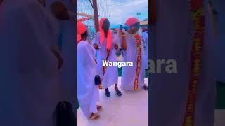 Wangara Dance The best r dance in Ghana Proud Wangaran [upl. by Ludovick]