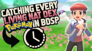 HOW EASILY CAN YOU COMPLETE A LIVING NATIONAL DEX IN POKEMON BRILLIANT DIAMONDSHINING PEARL [upl. by Lita]