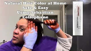 Natural Hair Color at Home with Sebastian Cellophane I WaterBaby Kendra [upl. by Lairbag]