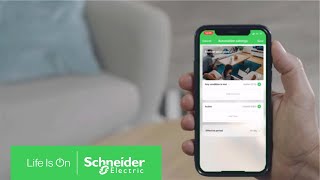 Wiser by SE How to Configure an Automation Example 1  Schneider Electric [upl. by Bocaj]