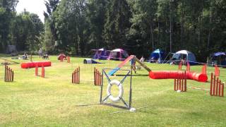 Mittelspitz agility [upl. by Triplett]