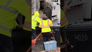 Vacuuming massive leaf pile fallleaves vacuum [upl. by Eckmann]