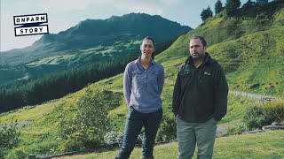 Under the Sacred Mountain  Mount Hikurangi  On Farm Story [upl. by Lekym]