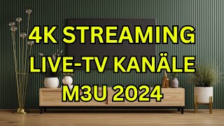 M3U Playlist 2024 Genießen Sie über 35000 Live Kanäle [upl. by Gusella]