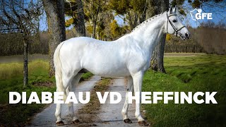 DIABEAU VD HEFFINCK  GFE [upl. by Saylor]