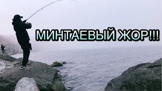 Ловля Минтая на металл джиги с берега г Владивосток 2024 [upl. by Assed]