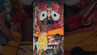 HAPPY KARTIKA PURNIMAytshortsodia odisha jayjagannath shortfeeds shorts odiatrendingstatus [upl. by Asilegna293]