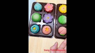 Những chiếc Wagashi dễ thương wagashi cake food mochi handmadejapanesefood vuadaubep cafe [upl. by Kalagher]