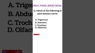 NExT FMGE INICET NEETPG MCQs and PYQs anatomy inicet fmge neetpg medicosQ [upl. by Edvard]