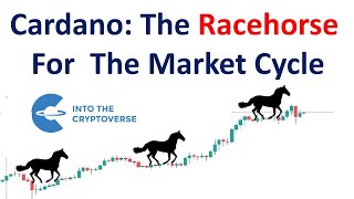 Cardano The Racehorse For The Market Cycle [upl. by Ecyoj]