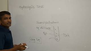 Hydrolysis Test Chemistry Practical  Dr Bharat Baria [upl. by Arvid]